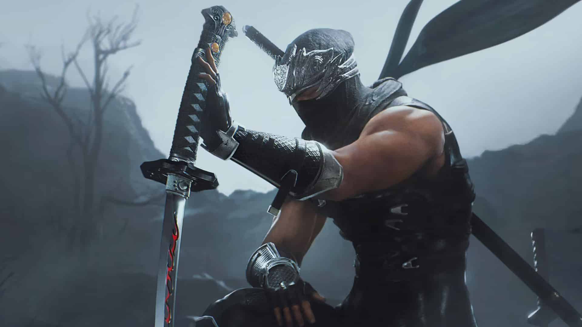 Ninja Gaiden 2 Black:Il y a plus 