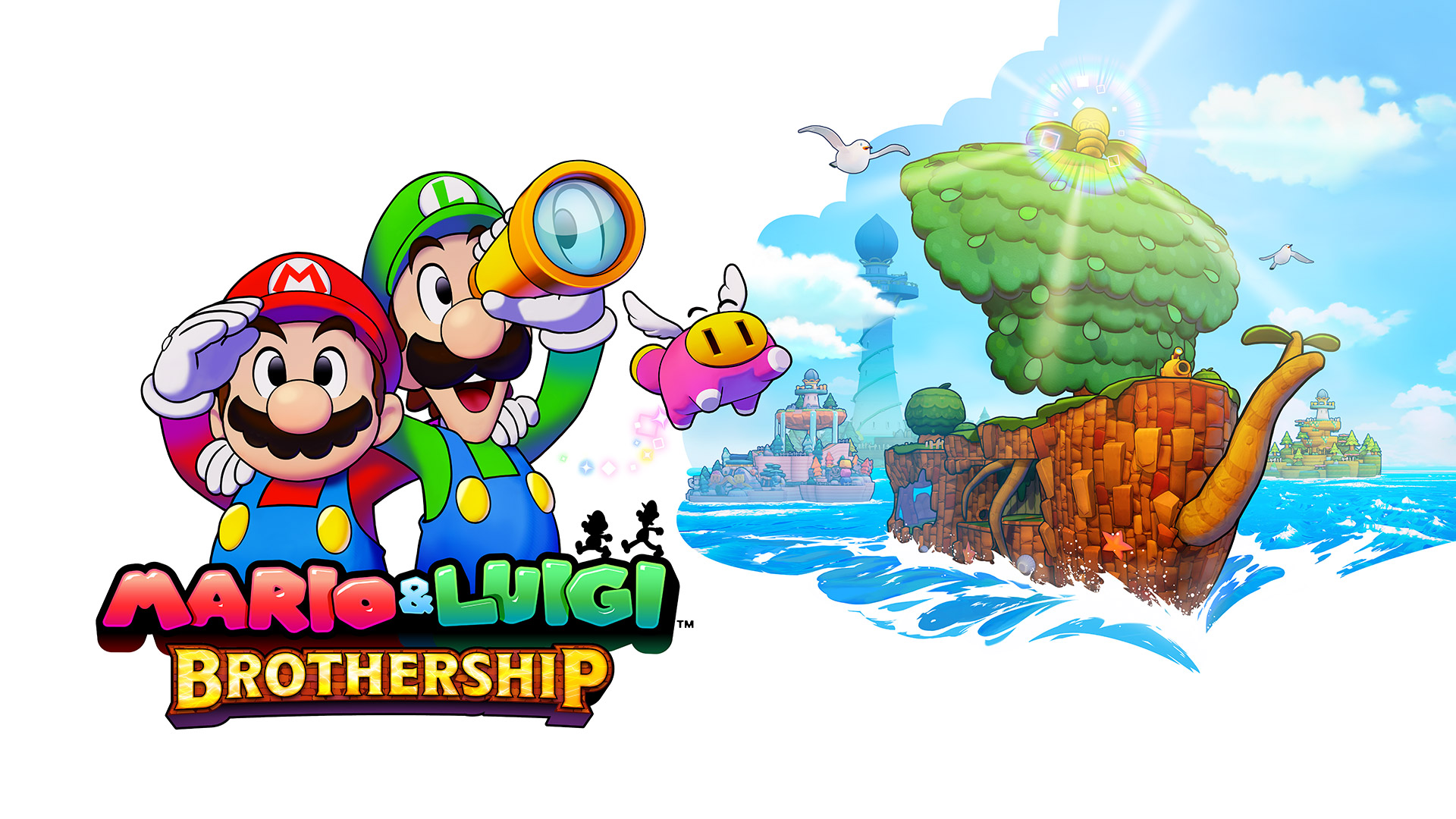 Mario &amp; Luigi : Brothership (Switch)